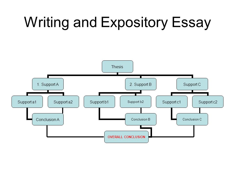 Expository essay writing rules